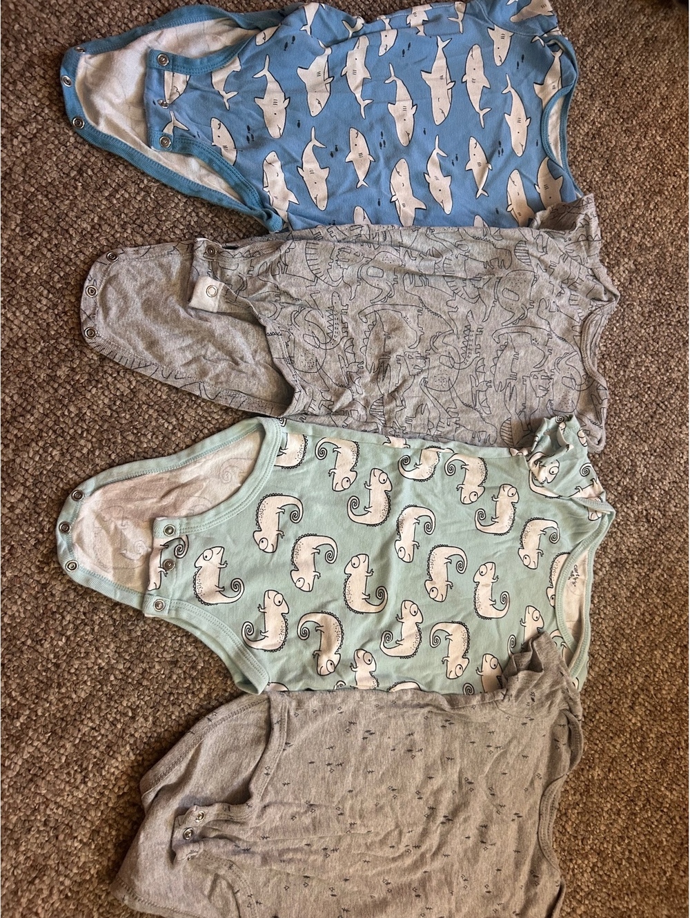 Carter's Baby Bodysuit Set with Shark, Dinosaur, and Chameleon Prints, 24 Months